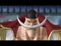 ワンピース 海賊無双 白ひげ（マリンフォード編）