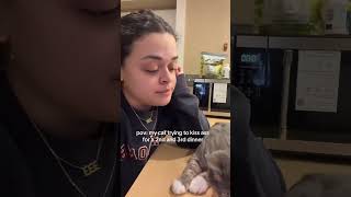 Download Lagu @jalisaolmo5: It didn’t work #cat #kitten #catlovers MP3