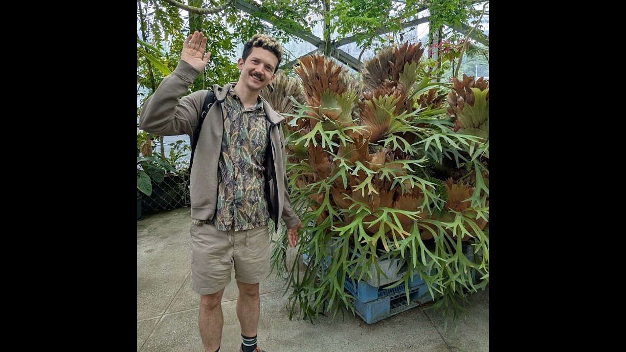 Bt Crops - GMOs go mainstream