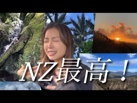 【NZワーホリ】5日間のハイキングが最高すぎた！ニュージーランドに来れて本当に幸せです！
