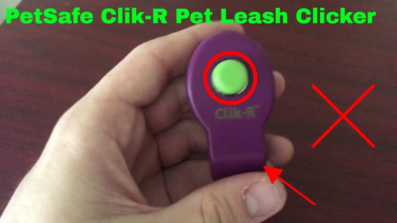 Clik-R™ Training Tool