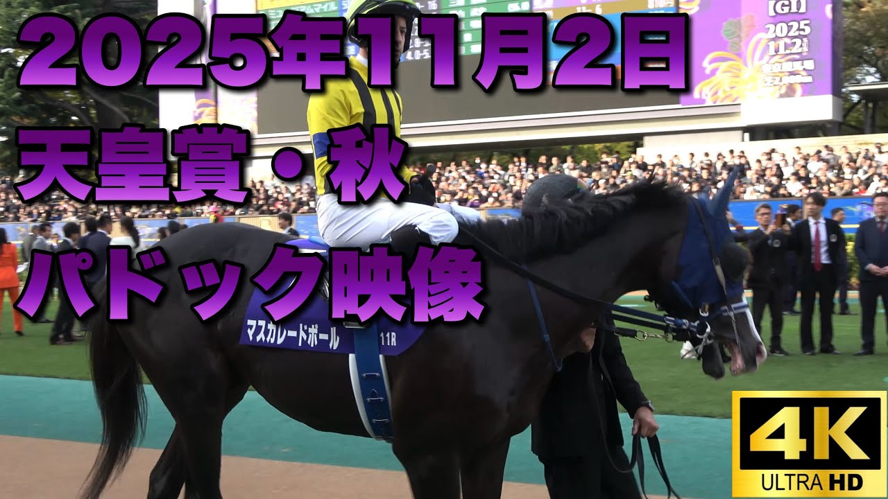 4K動画】2025年天皇賞・秋パドック【マスカレードボール】 - YouTube