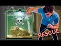 SAVING MY FRIEND'S FISH TANK!!! ☠️- (back from the dead)