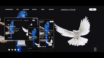 (Animal Tour)HTML&CSS WEBSITE DESIGN / HTMLऔर CSS से ऐसी वेबसाइट डिज़ाइन नामुनकिन...