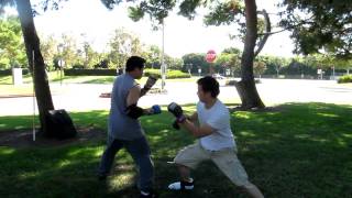 Wing Chun vs Aikido Sparring- Meetup