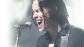 Alter Bridge: Wouldn
