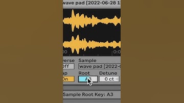 Build a truly unique pad from ANY sound! #shorts