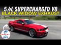 2009 Ford Mustang Shelby GT500 5.4L Supercharged V8 w/ Black Widow Neighborhaters!