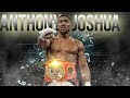 Anthony joshua  the way of the champion