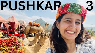 Sunset At Puskar Ghat 😍 | #pushkar Part 3