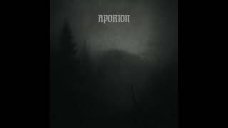 Aporion  Circle  Track