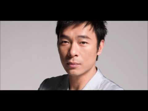 許志安 葉德嫻 - 美中不足
