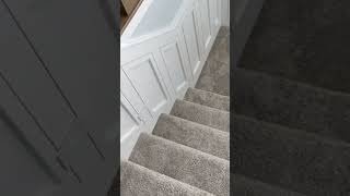 Wainscot staircase with hidden door to a slide.