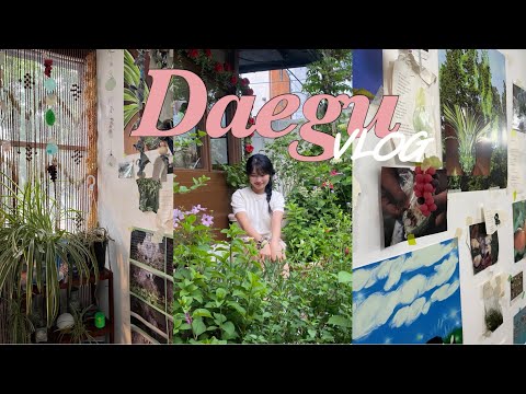 2박 3일 대구 여행 브이로그 | 대구,,, 좋ㅌr,,,✨| 주말에도 생고기 먹을 수 있는 덕일 생고기 | 갬성 낭낭 카페 추천 (낭만 젊음 사랑, 서로의 달)