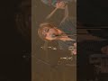 アコースティックのラクダ〜突然NHKホール〜赤を塗って#superbeaver #shortvideo #live #赤を塗って