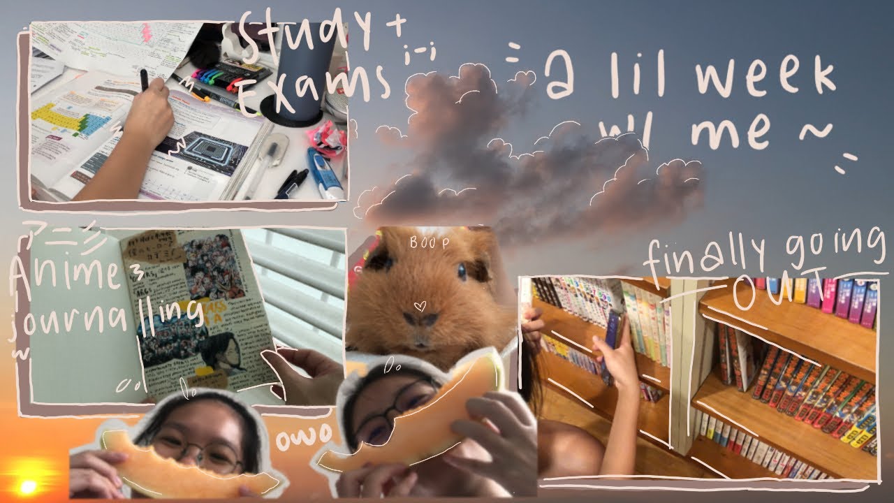🌼 a week: going out, anime journalling and lots of studying 🌼