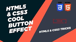 Button Hover Effect | HTML & CSS