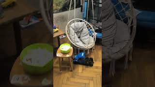 "Punkty strategiczne" 🤡🐝🫣😂 #ojcostwo #miłość #remontłazienki @pyzionder