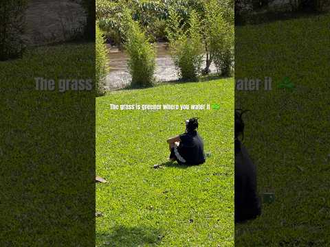 Tembea Kenya | Gura Farm, Othaya #Rest #Wellness
