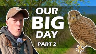RSPB Minsmere: Searching for Rare Birds on Global Big Day (LIFER Alert!)