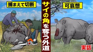 【実話】サイの角を切断する外道。「金になるから」あまりに可哀想すぎる。