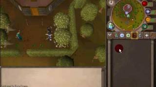 2 Nests in a row! 2 magic tree seeds! - TNP RSV