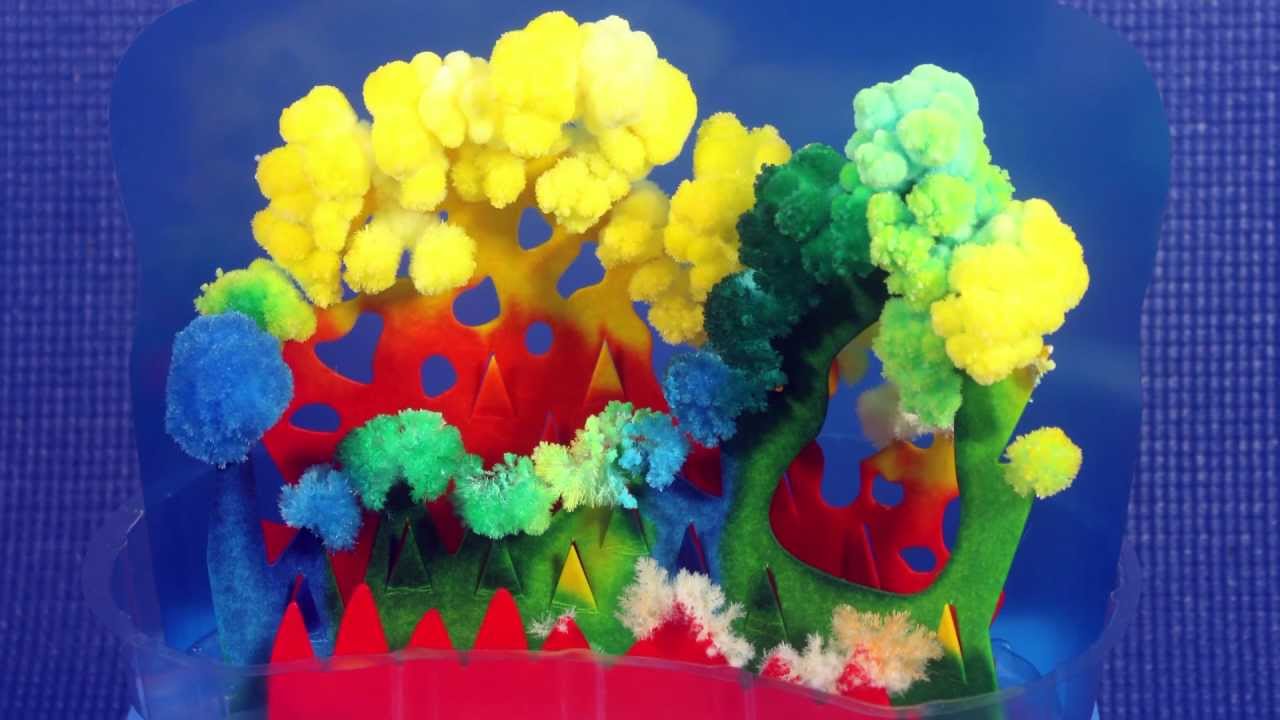 Coral Crystal Garden Using Laundry Bluing