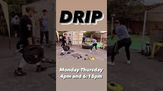 IMG 4611