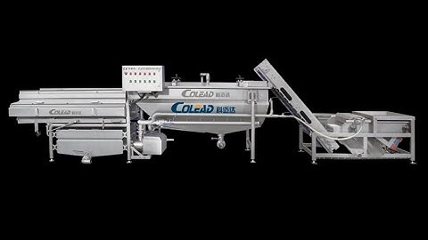 COLEAD Fruit and vegetable integrated cleaning machine（Dates）