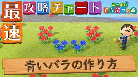 とび森 青いバラ 作り方