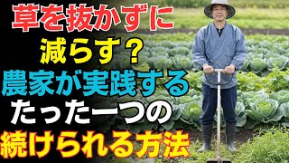 【衝撃】雑草が一夜で激減! 農家だけが実践する“草なし畑”の裏テク、今すぐ試そう！【家庭菜園】#雑草対策 #草が生えない畑 #統合的雑草管理