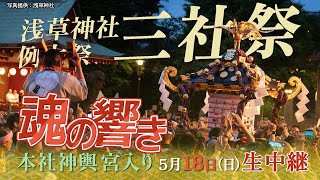【生中継】浅草神社「三社祭」2025　▽本社神輿宮入り　▽三社祭のクライマックスを飾る！担ぎ手の熱気が最高潮！三社祭が浅草の街を熱くする！