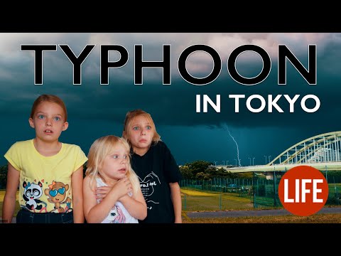 Typhoon in Tokyo | Life in Japan Episode 24