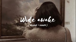 Katy perry- Wide awake (slowed down   lyrics)