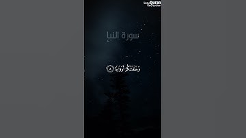 عَمَّ یَتَسَآءَلُوۡنَ | الشيخ_ياسر_الدوسري | سورة النبإ #قرآن #اكسبلور