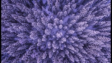 Precalculus - 5.2 Right Triangle Trigonometry