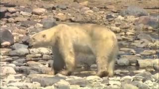 The Gurus Explore 2012 Canada 5