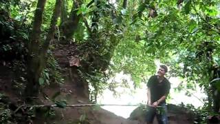 Elder Thomas Swinging From A Vine