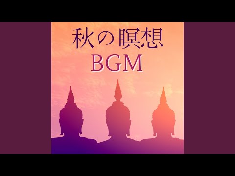 YouTubeで自己の内側を視聴