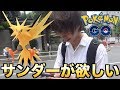 【ポケモンGO】サンダーだけはマジで捕まえたい