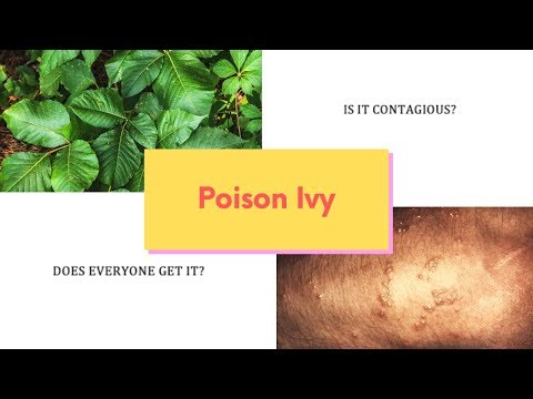 Video: Poison Ivy Contagious? Cum Se Răspândește și Dacă Ar Trebui Să Vă Faceți Griji