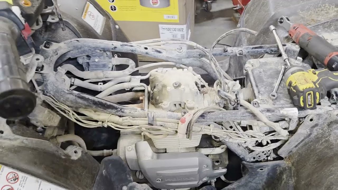 2022 Honda Recon Top End Rebuild