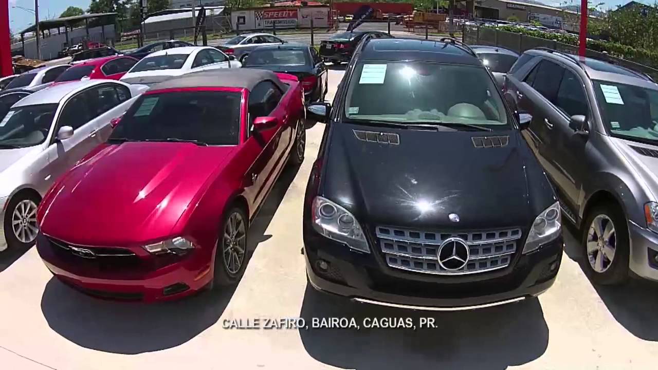 Dealer Bremen 6 marzo Wapa TV R5 YouTube