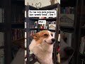 Bien sûr que si #booktube #booktok #bookaddict #books #bookshorts