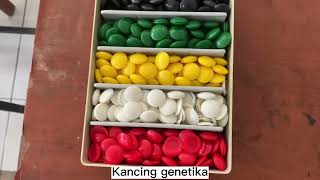 Implementasi Kegiatan On The Job Learning (OJL) Kepala Laboratorium IPA