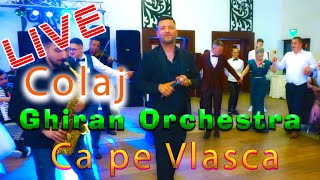 🎤🎶𝗖𝗮 𝗽𝗲 𝗩𝗹𝗮𝘀𝗰𝗮 𝟮𝟬𝟮𝟯 🔴 Alin Ghiran Orchestra  40762.178.037 🔴 Live Event 2023 @alexbucurmedia