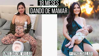 MI EXPERIENCIA CON LA LACTANCIA MATERNA 🤱 SE ME CAYERON LAS CHICHIS?  Bessy Dressy