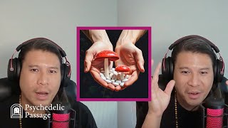 Choosing Between Psilocybin, MDMA, Ketamine, & LSD