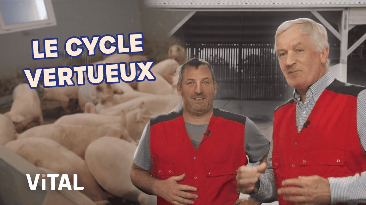 Comment l’EARL La Cour mise sur le bien-être animal pour faire évoluer son élevage porcin ?