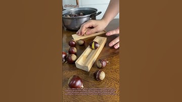 "Chestnut Cracking Hack: This Genius Tool Opens Shells in Seconds!"
